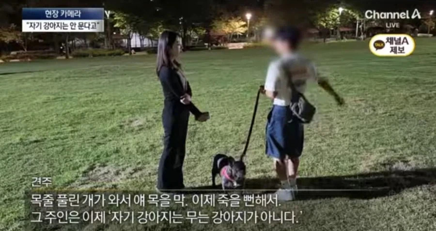 개빠년들은 여전히 ㅈ같은의미로 한결같네_2.webp