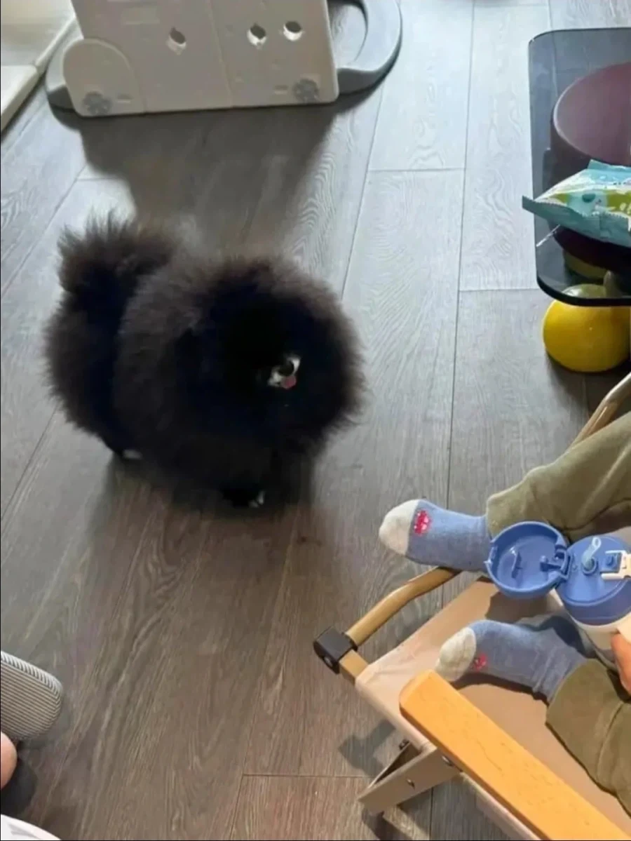 눈이 한개 달린 괴생물체가 가정집에서 관측됨_2.webp