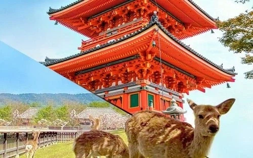 전국시대 일본에서 매우 특이했던 지역_1.webp