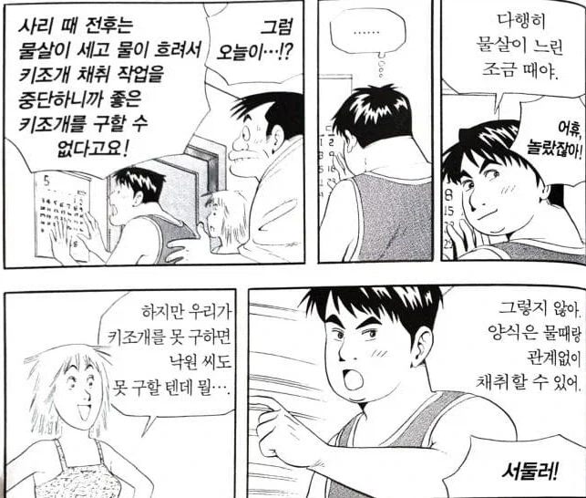 식객) 양식이 자연산을 압도한다는 해산물_4.webp