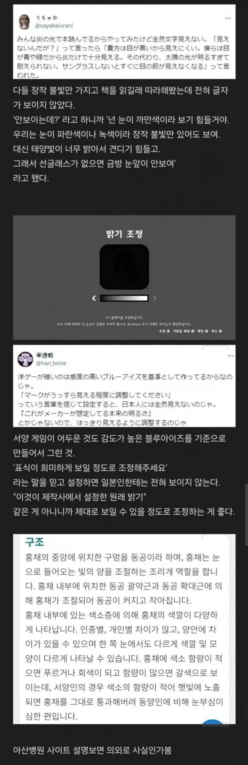 색목인 눈깔 특징_1.webp