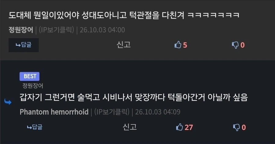 부산 국제 록 페스티벌 A7X 헤드 탈주 전말_9.webp