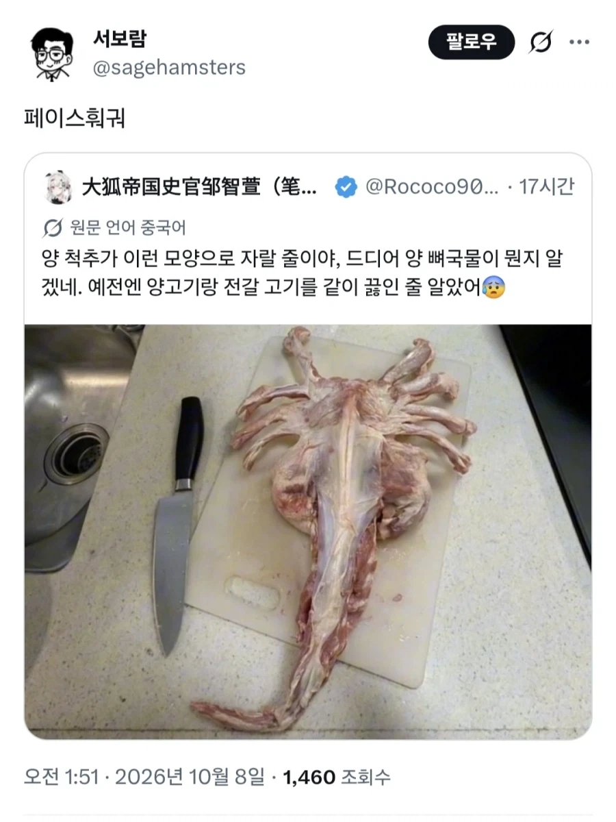 실제로 존재한다는 페이스허거.jpg_1.webp