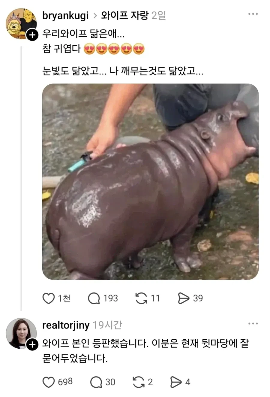 우리 와이프와 눈빛이 닮은 작고 귀여운 동물.jpg_1.webp