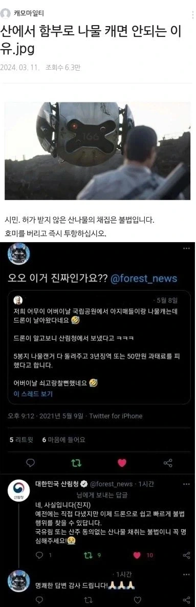 산에서 함부로 나물 캐면 안되는 이유._1.webp