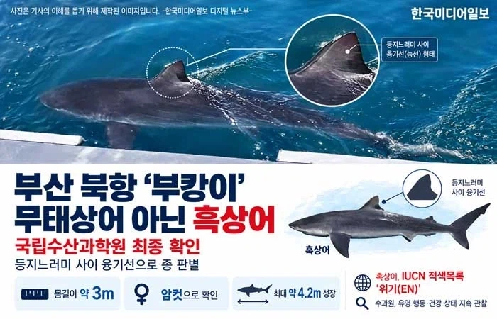 북항이 사실 귀한몸 이였다!!_1.webp