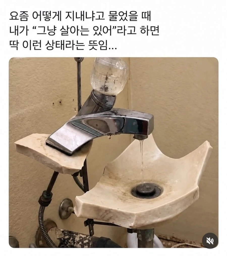 그냥 살아만 있어 라는 의미_1.webp