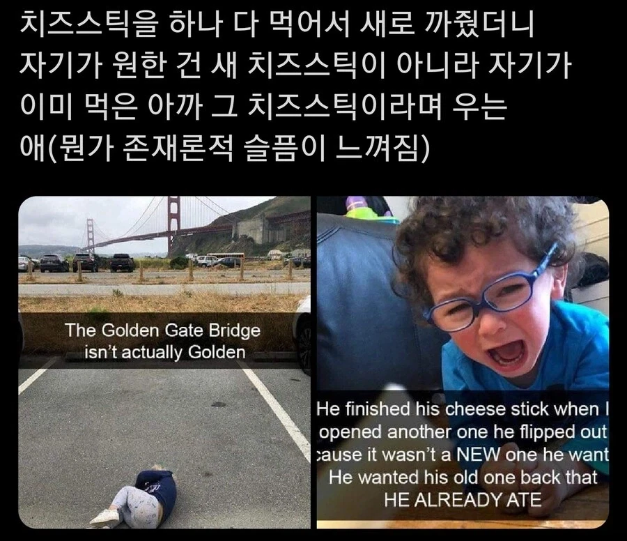 돌아오지않는 치즈스틱.jpg_1.webp