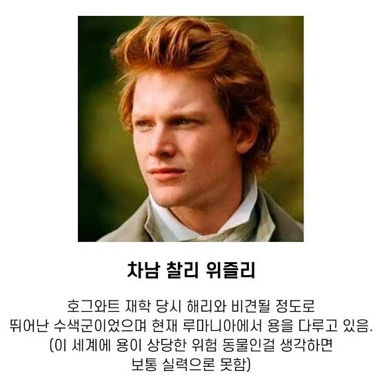해리포터)위즐리가문중 유일하게 결혼을 안한 사람_1.webp