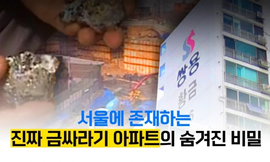 서울에서 금맥 찾아도 의미 없는 이유.jpg_1.webp