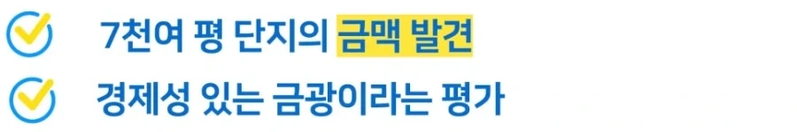 서울에서 금맥 찾아도 의미 없는 이유.jpg_3.webp