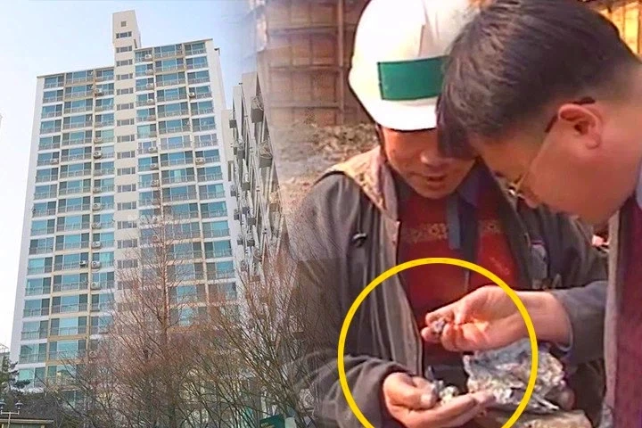 서울에서 금맥 찾아도 의미 없는 이유.jpg_4.webp