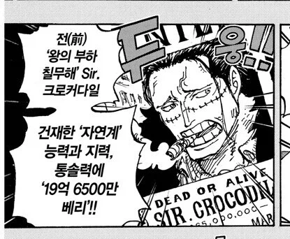 원피스 악어 현상금 관련 다시 보면 재밌는거_8.webp