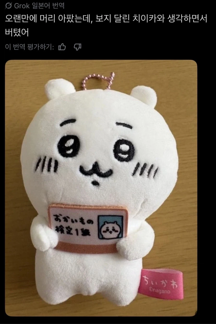 힘든걸 도와주는 치이카와 인형_1.webp