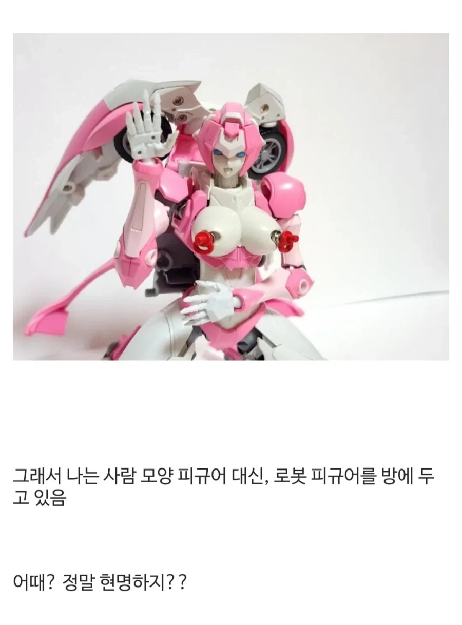 집에 사람 모양 장난감 두지 마세요_5.webp