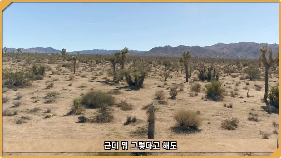 전투 한 번 없었는데 사망자가 있었던 전쟁.jpg_9.webp