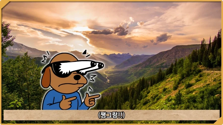 전투 한 번 없었는데 사망자가 있었던 전쟁.jpg_12.webp