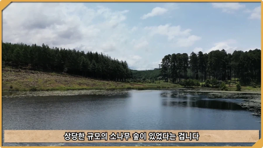 전투 한 번 없었는데 사망자가 있었던 전쟁.jpg_14.webp