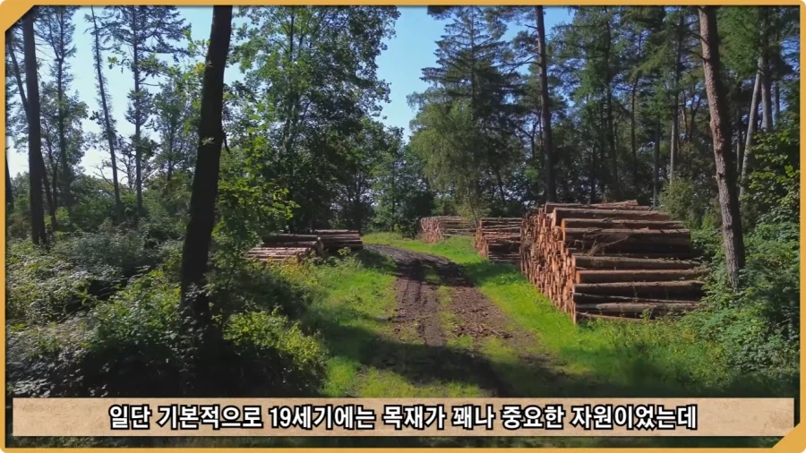 전투 한 번 없었는데 사망자가 있었던 전쟁.jpg_15.webp