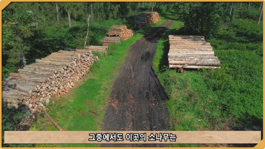 전투 한 번 없었는데 사망자가 있었던 전쟁.jpg_16.webp