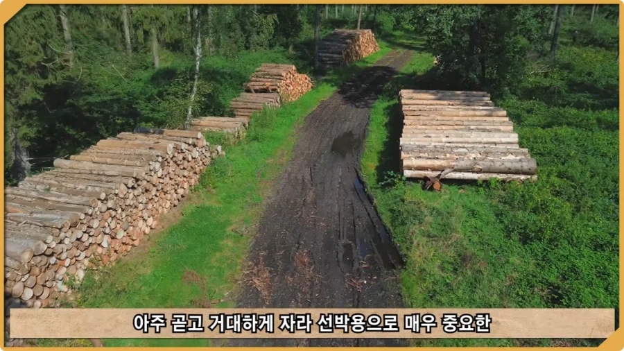 전투 한 번 없었는데 사망자가 있었던 전쟁.jpg_17.webp