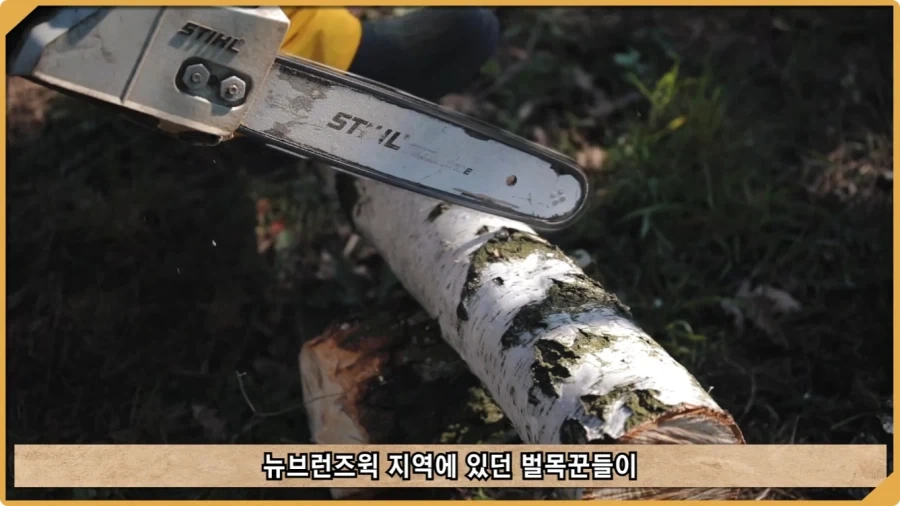 전투 한 번 없었는데 사망자가 있었던 전쟁.jpg_32.webp