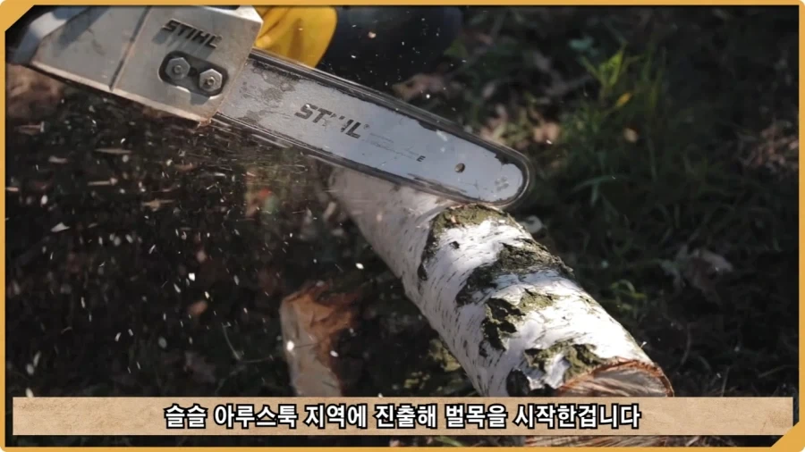 전투 한 번 없었는데 사망자가 있었던 전쟁.jpg_33.webp