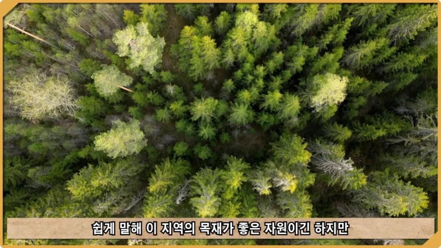 전투 한 번 없었는데 사망자가 있었던 전쟁.jpg_69.webp