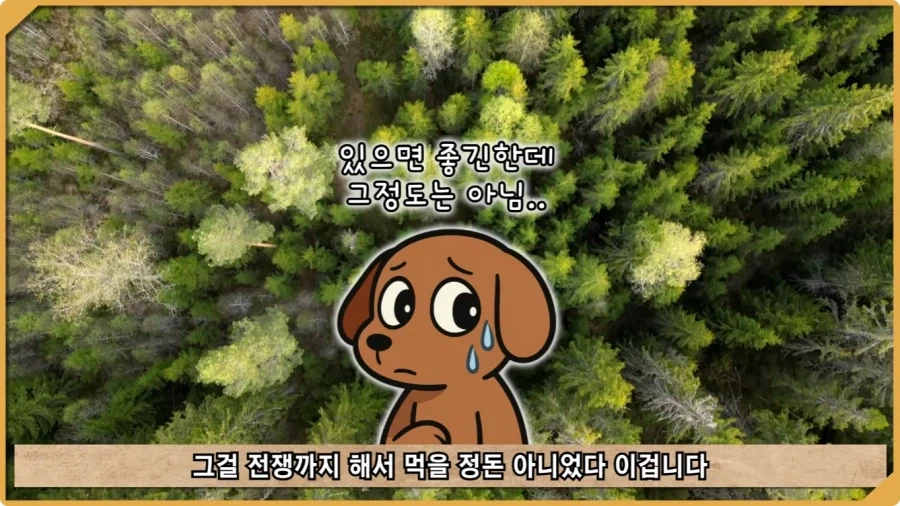 전투 한 번 없었는데 사망자가 있었던 전쟁.jpg_70.webp