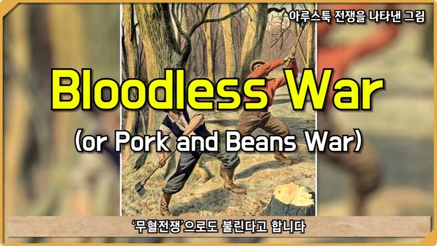 전투 한 번 없었는데 사망자가 있었던 전쟁.jpg_82.webp