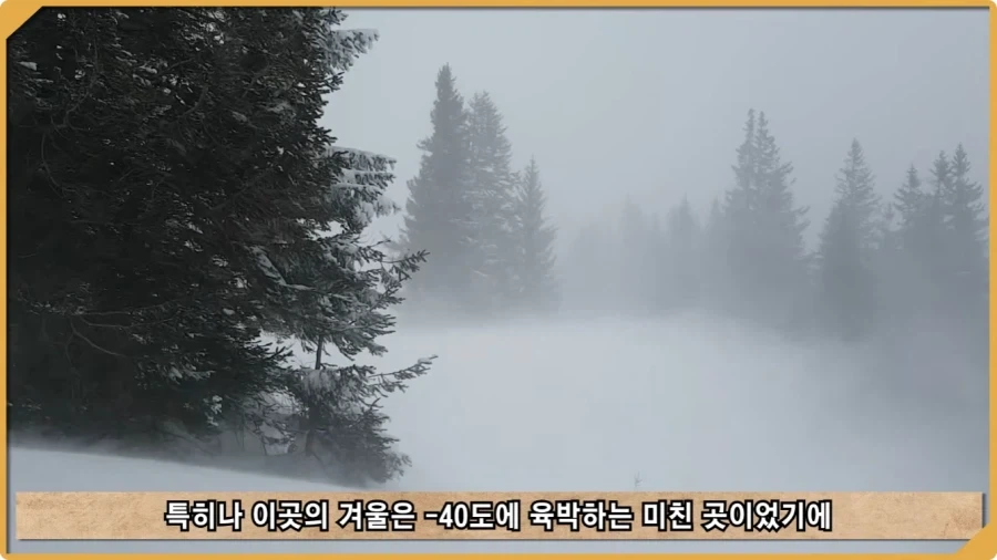 전투 한 번 없었는데 사망자가 있었던 전쟁.jpg_88.webp