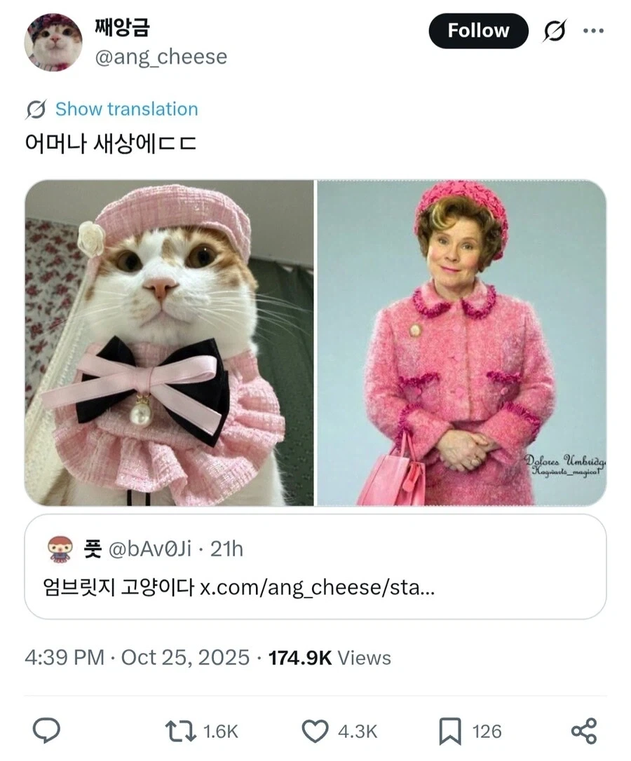 고양이 *심한 모욕*_3.webp