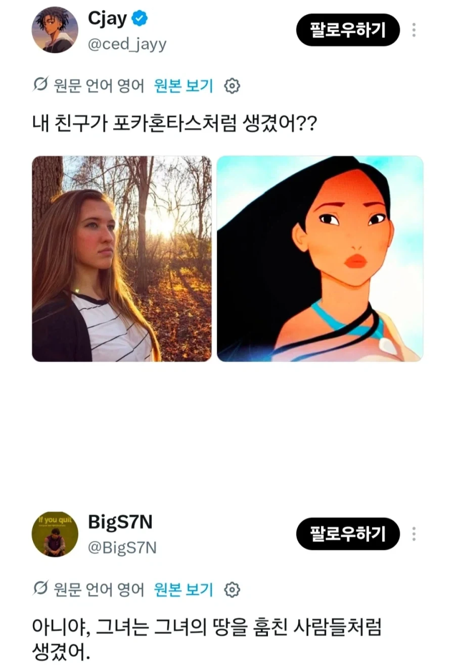 내 친구 포카혼타스처럼 생겼어??_1.webp