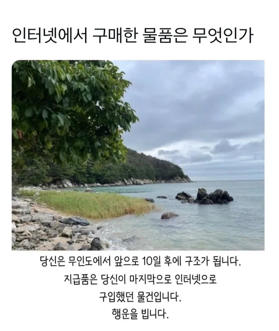 당신은 지금부터 10일 후 무인도에서 구조됩니다._1.webp