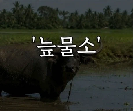 헬조선의 노동강도에 못 버틴 외노자_1.webp