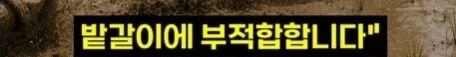 헬조선의 노동강도에 못 버틴 외노자_10.webp