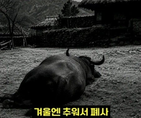 헬조선의 노동강도에 못 버틴 외노자_12.webp