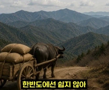 헬조선의 노동강도에 못 버틴 외노자_15.webp
