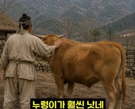 헬조선의 노동강도에 못 버틴 외노자_16.webp