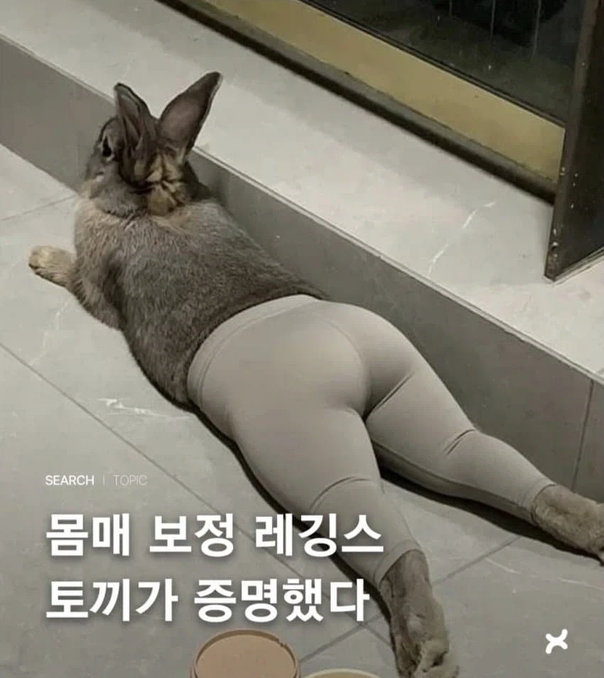 오..................._1.webp