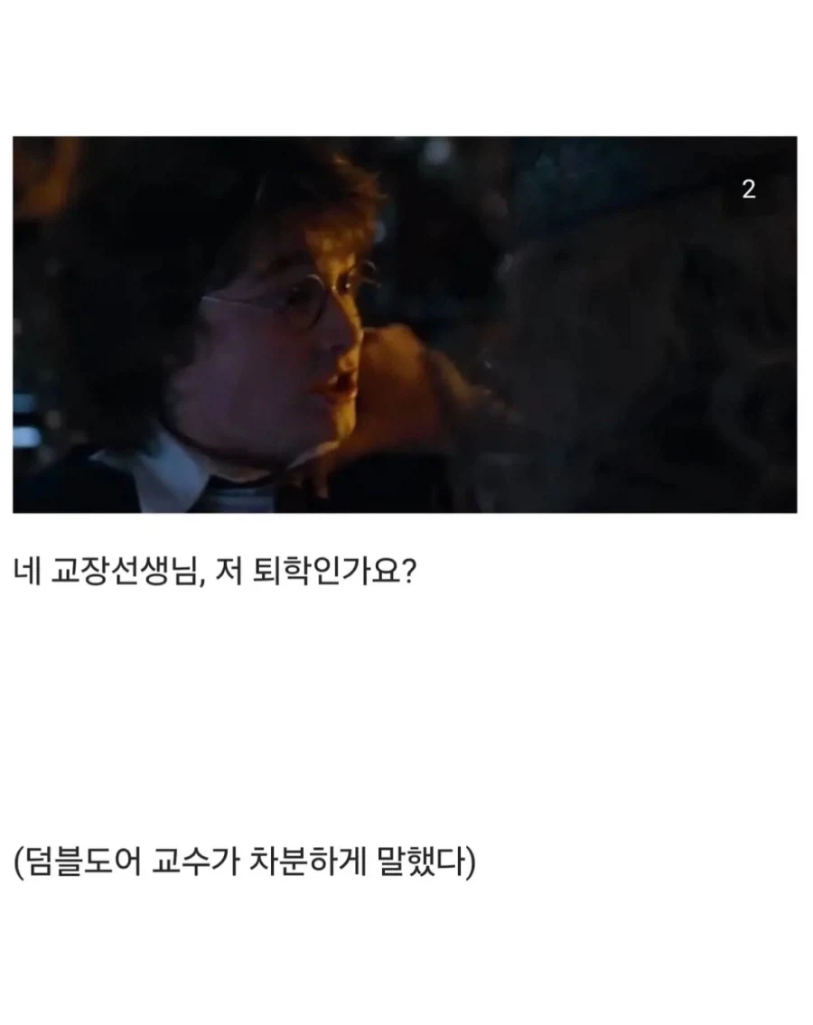 덤블도어 : 해리포터! 왜 말포이가 여자가 되었지?_2.webp
