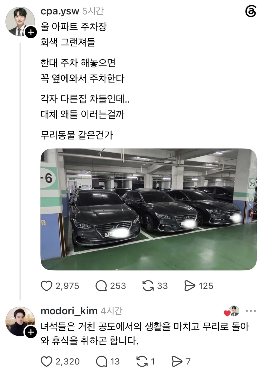 주차장에서 볼 수 있는 무리의식.jpg_1.webp