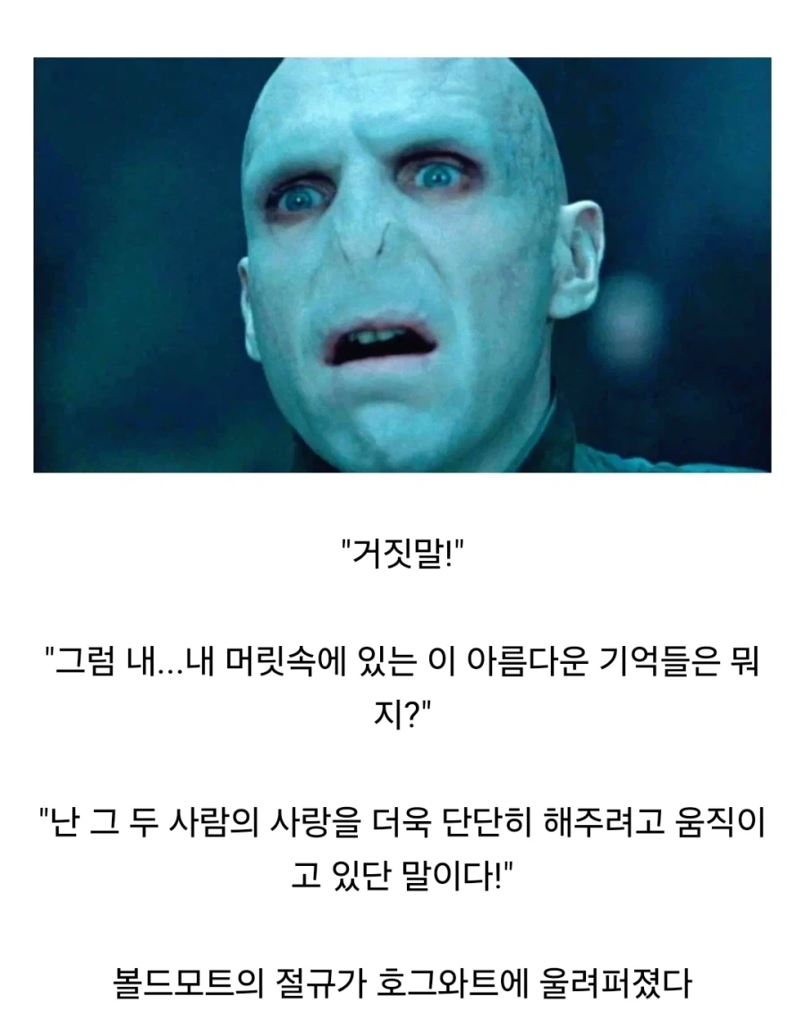 해리포터) 과거의 자신과 만나면 안되는 이유_2.webp