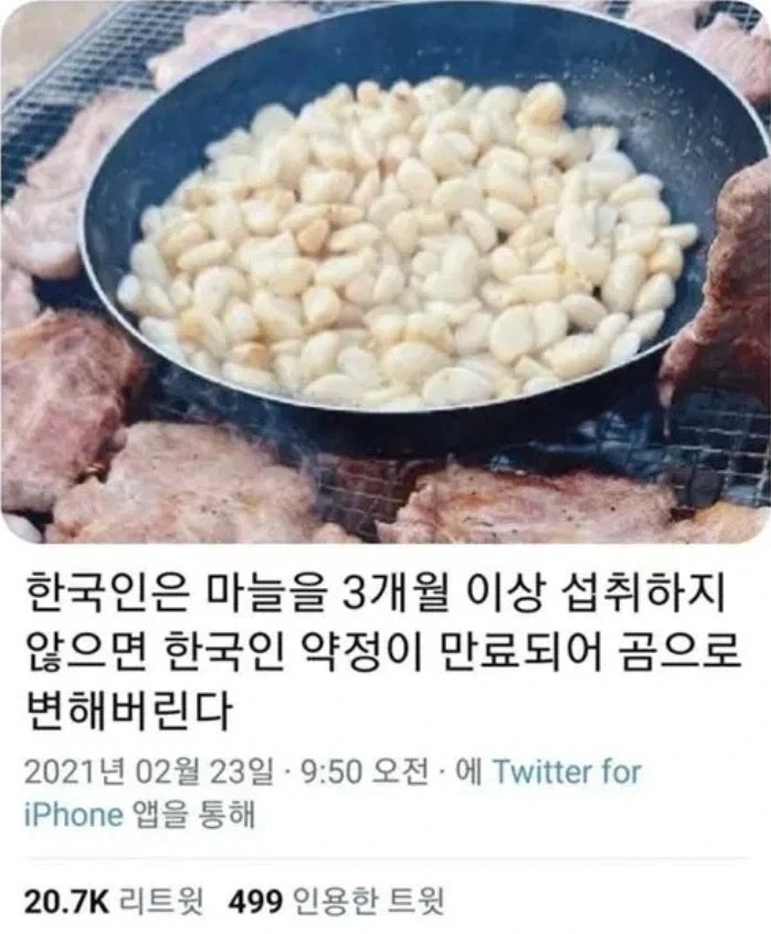 한국인이 마늘을 계속 섭취해야 되는 이유_1.webp