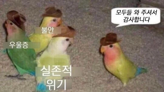 잠들기 전에 머릿속에서 일어나는 일_1.webp