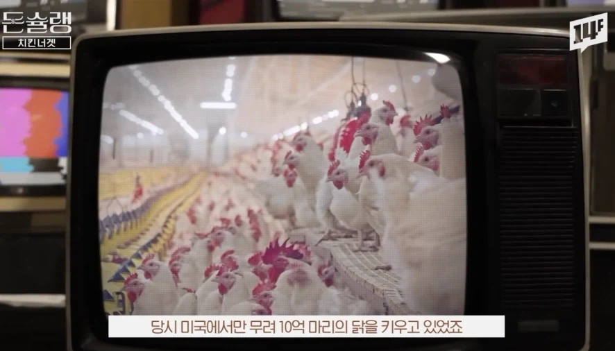 실험실에서 탄생시킨 모두의 치킨 레시피_1.webp