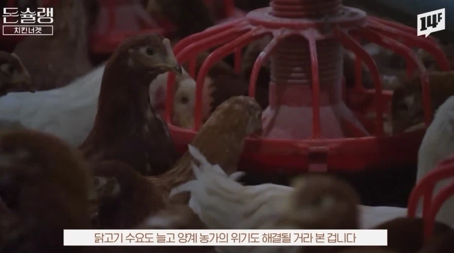 실험실에서 탄생시킨 모두의 치킨 레시피_8.webp