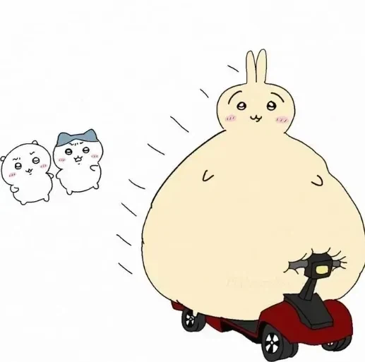 한국에선 거동이 불편한 노인들이 타는데 미국에선 파오후 전용 애마_4.webp