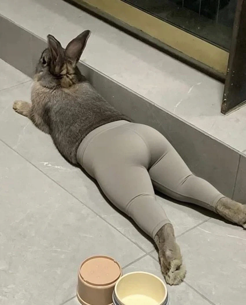 이런 토끼가 뭐가 좋다고..._1.webp