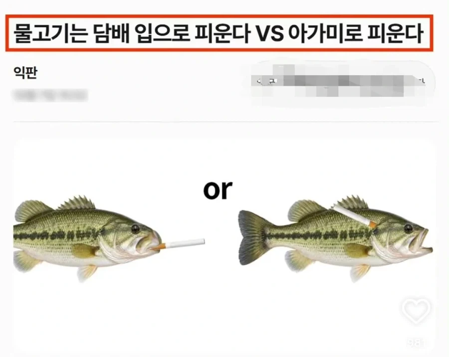 물고기는 담배를 입으로핀다? 아가미로핀다?.jpe_1.webp
